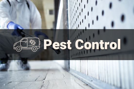InnerWest Pest Control Pty Ltd. - Balmain