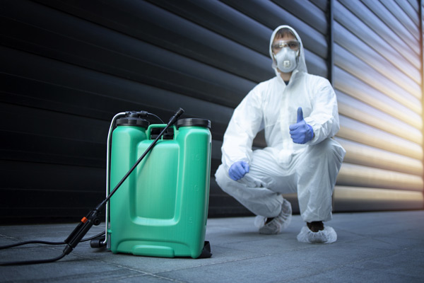 why pest control matters